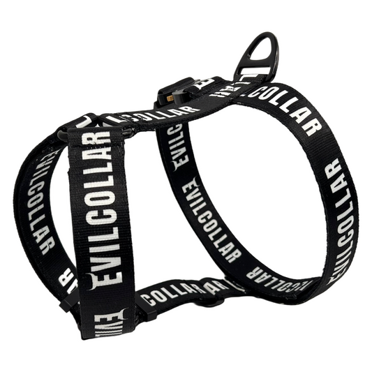 Pettorina Scratch 4.0 EA