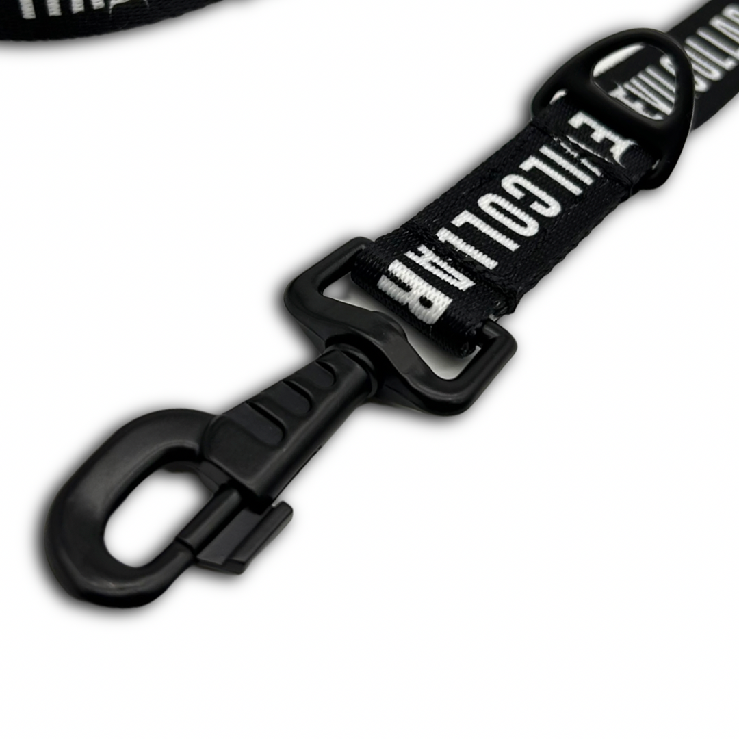 Guinzaglio Addestramento 2.5