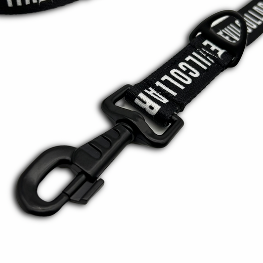 Guinzaglio Addestramento 2.5