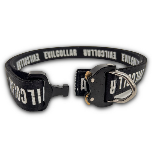 Cintura Scratch D 4.0 EA