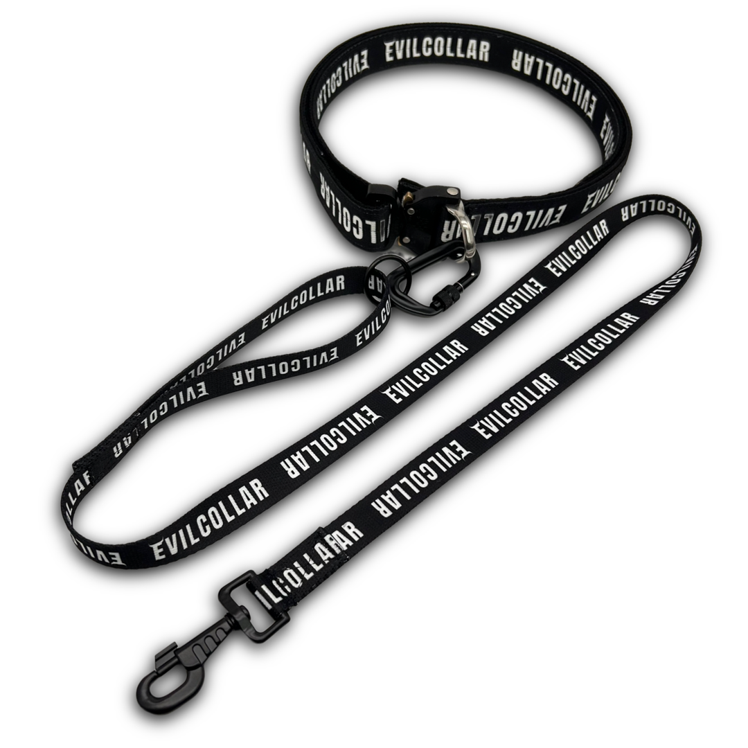 Set Cintura Scratch Moschettone Guinzaglio