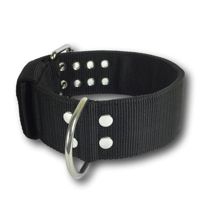 Collare Pit Bull Black Six