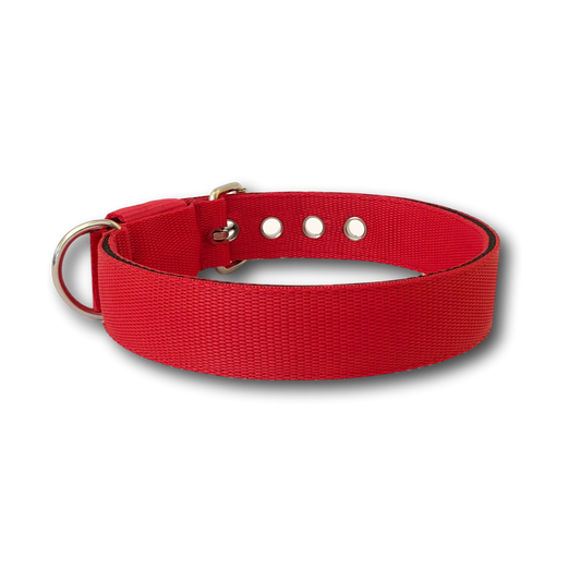 Collare Classic 3cm per Cani taglia media