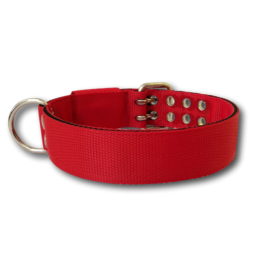 Collare Pit Bull 4cm Nylon