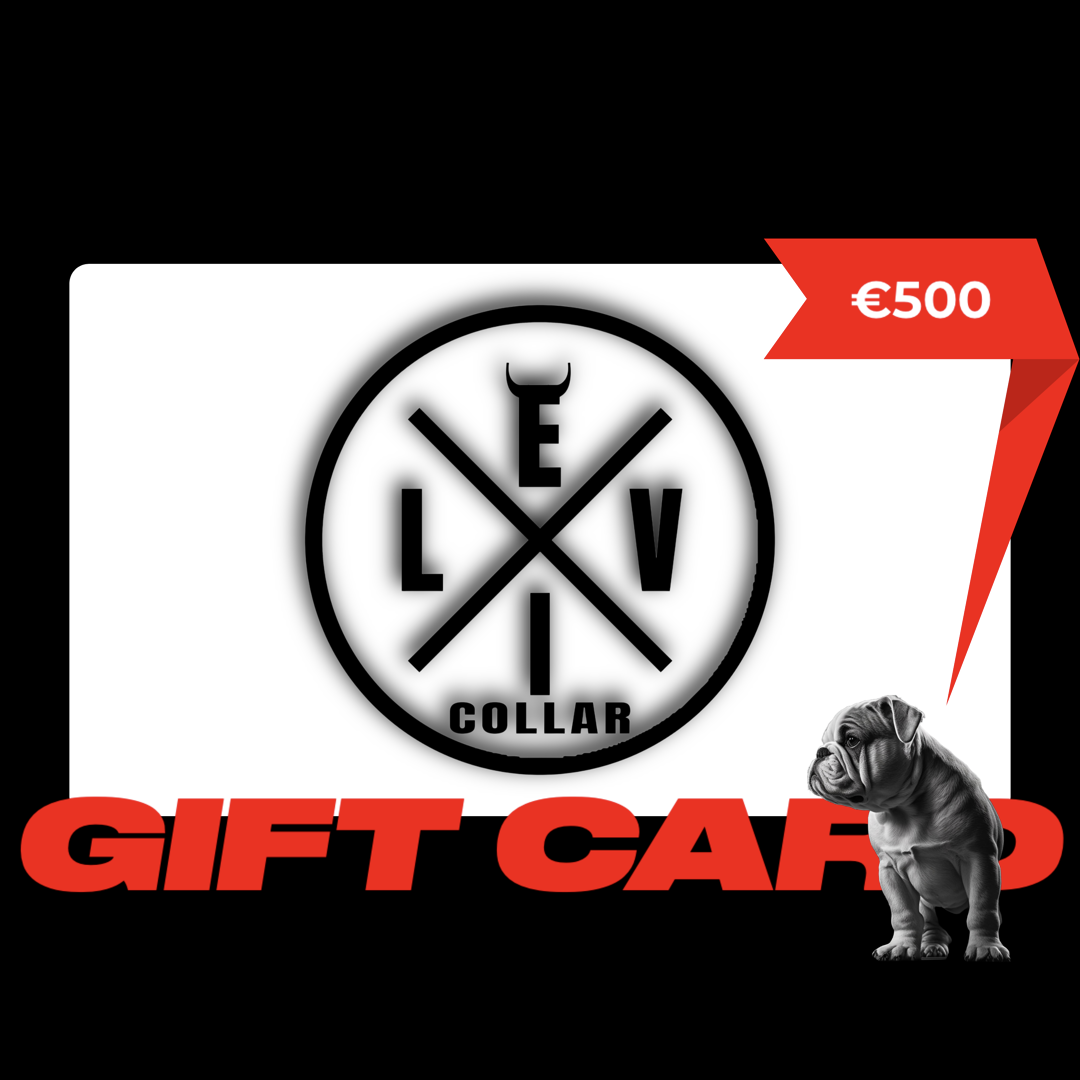 Carta Regalo EvilCollar €500